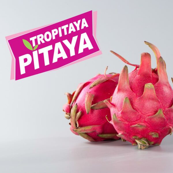 Pitaya Fruit